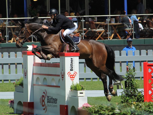 进行阵容的 进行阵容的