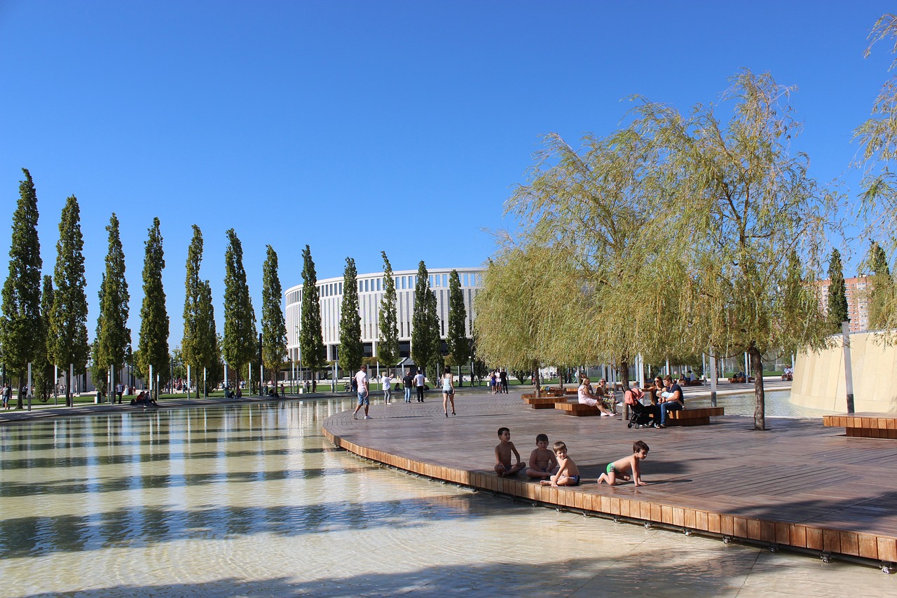 迷作为看台 迷作为看台