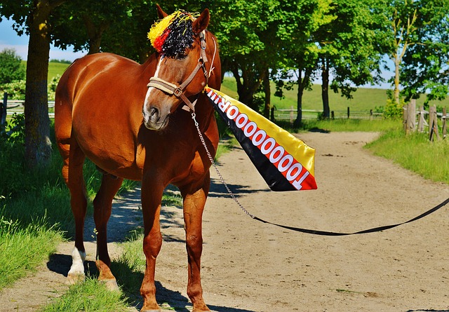 围棋赛在浙 围棋赛在浙
