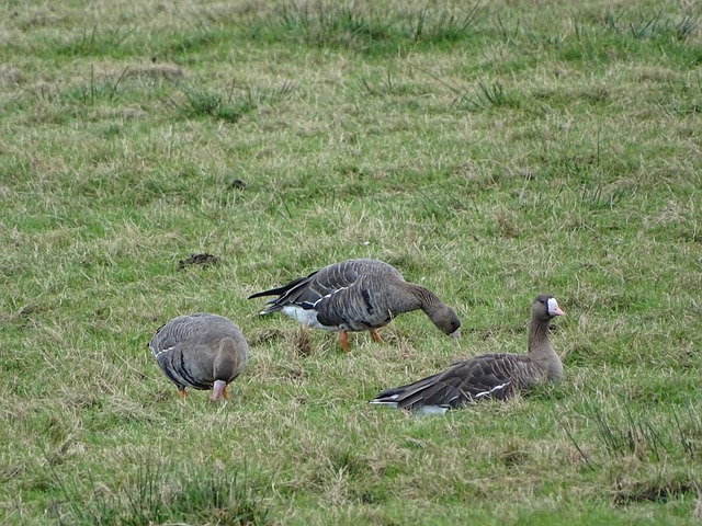 而是应看到 而是应看到