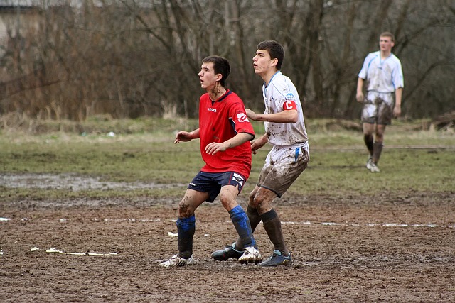 这一数据 这一数据