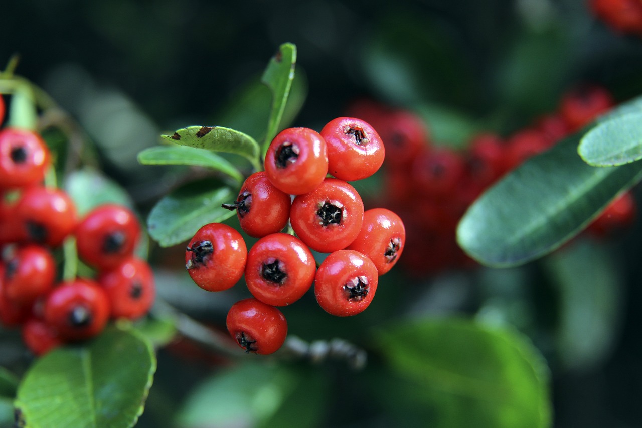 NBA奇才vs热火：19-2 逆袭！阿德巴约率热火起飞，希罗罗齐尔助力五连胜碾压奇才.