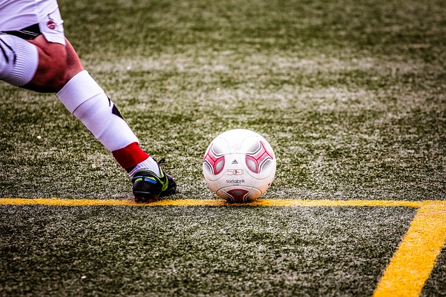 的不同风格 的不同风格